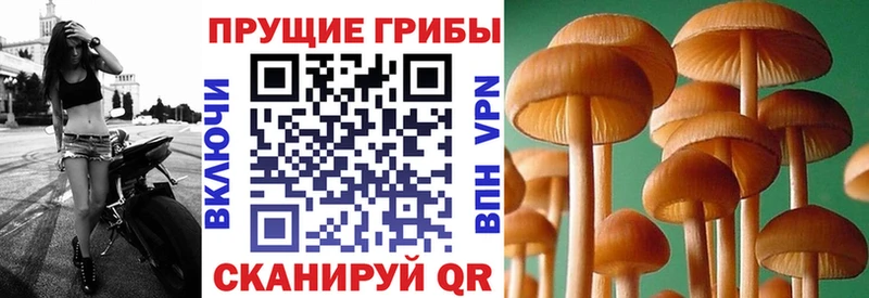 Галлюциногенные грибы прущие грибы  где купить   Лениногорск 
